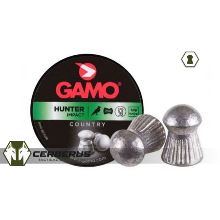AIRGUN PELLETS 5.5 MM / 250CT