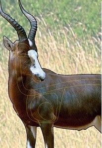 TARGET GARIPANI BLESBOK