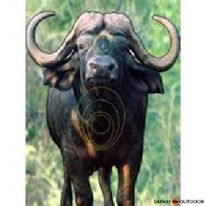 Target Garipani Buffel