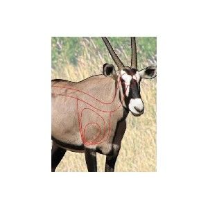 TARGET GARIPANI GEMSBOK